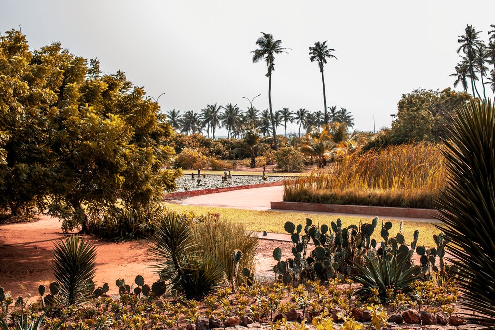 Tropical garden with palm trees — illustrative stock photo, not the listed venue