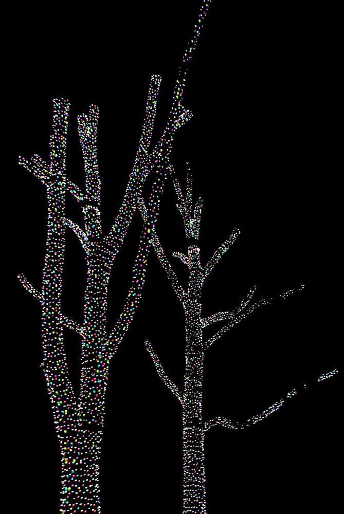 Trees decorated with colorful holiday lights — illustrative stock photo, not the listed venue