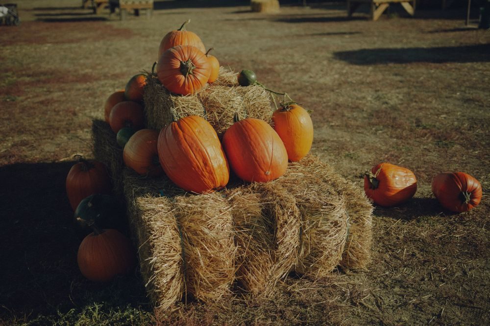 Pumpkins arranged on hay bales — illustrative stock photo, not the listed venue